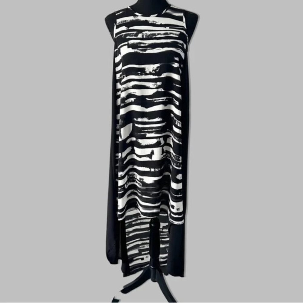 Philosophy Sleeveless High Low Chiffon Dress